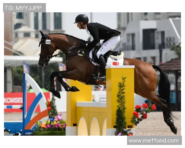 中国马术队历史性突破首次获得奥运团体赛资格书写新篇章 中国马术队历史性突破首次获得奥运团体赛资格书写新篇章