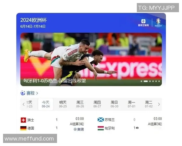 欧洲杯赛事安全管理及突发事件应对 欧洲杯赛事安全管理及突发事件应对